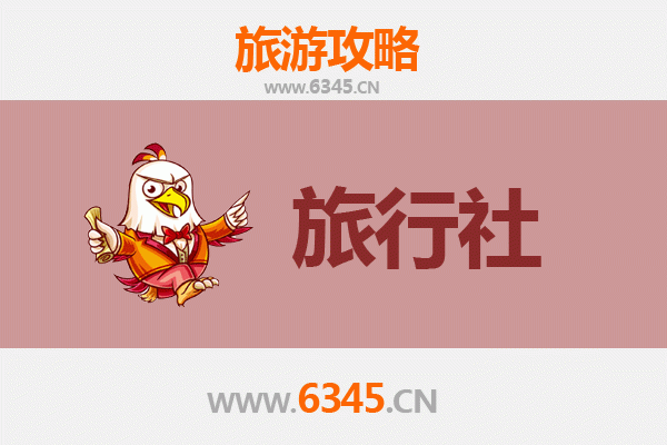 乐东抱由镇本地旅行社推荐：探索黎族文化与自然奇景的完美向导