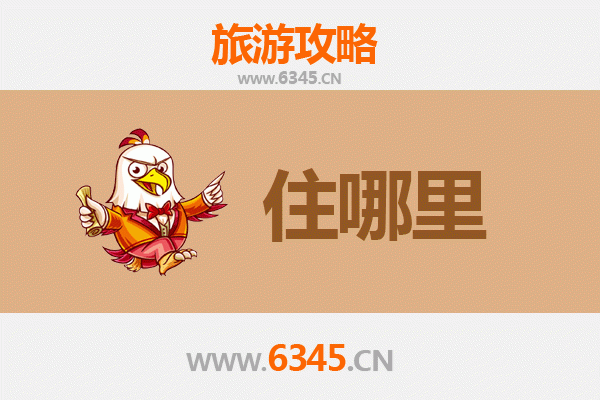 乐东抱由镇旅游民宿攻略：探秘黎乡风情，寻觅山居雅舍